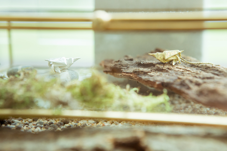 台灣特有生物於台中歌劇院出沒中！金工品牌以覺學聯手插畫家推出《隱身在島上》台灣特有生物插畫展