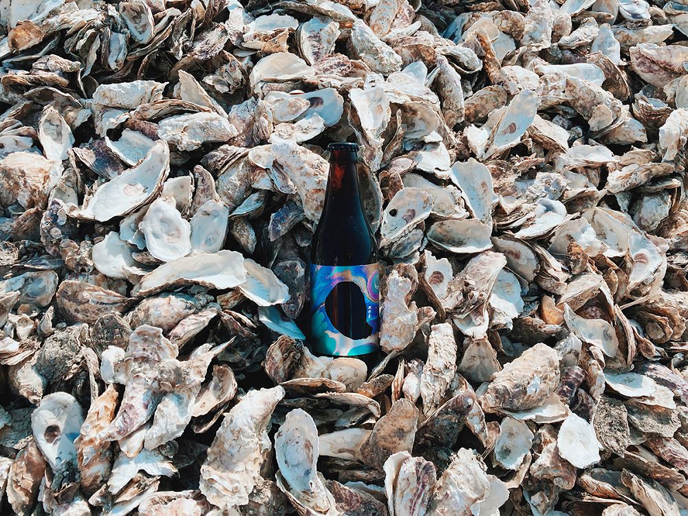 牡蠣+黑啤酒 十八世紀貴族公認絕搭！酉鬼啤酒「蚵蚵蚵歡樂大酒袋」以嘉義白水湖鮮蚵釀造，藍網、蚵殼呈現在地感包裝