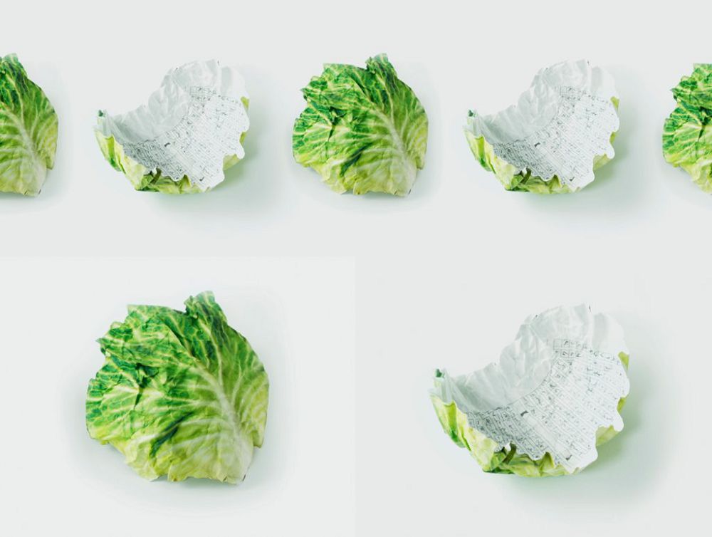 日本「Kakamu超市」食物設計創意平台！大白菜嬰兒包巾、吐司寢具超療癒