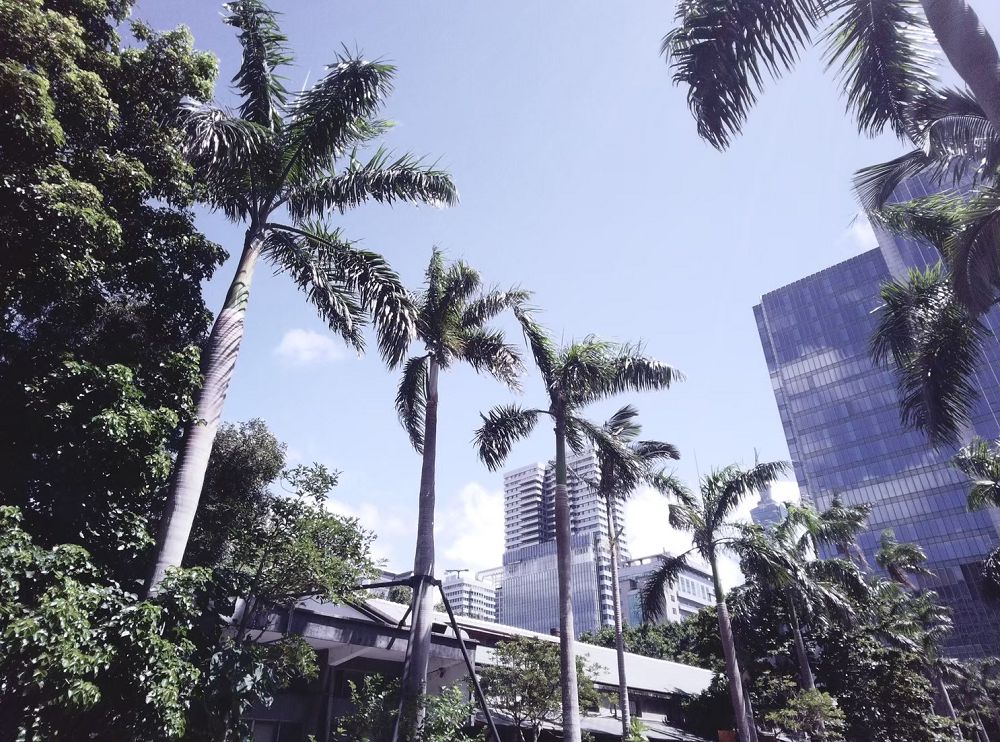 花玻璃紋、柚葉躍上紙相機！台泰設計師「Thinkk & SHOOT」環保相機於松菸風格店家上市