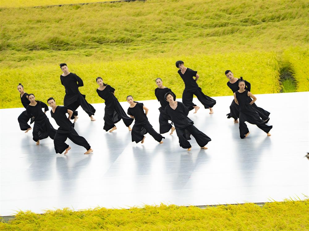 2022台東池上秋收稻穗藝術節!周華健、周蕙、Matzka美聲伴黃金稻浪