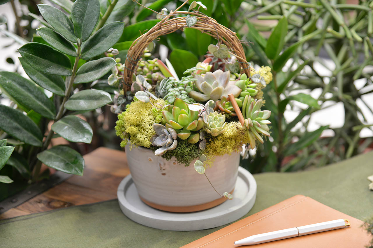 綠手指如何養成？綠意居家生活新手的指南、專家推薦 3 種輕鬆入門植物！