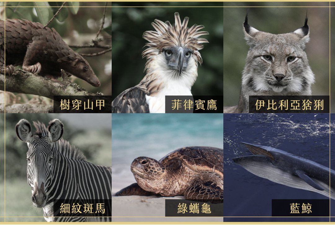 Llab 明日神話動物別針 六款選 大人物 6726 Llab 明日神話動物別針 六款選 大人物 6726