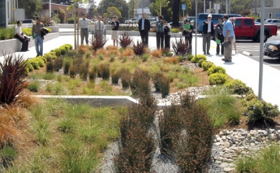 「他山之石，可以攻錯」，看美加市政花園改造