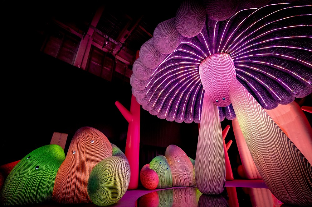 新店誠品《AI靈感大師》療癒展覽！澳洲團隊ENESS打造森之舞者、太陽神等4大光影裝置