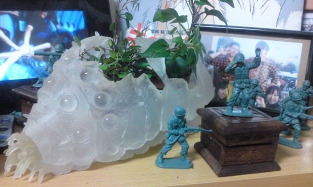 買支王蟲回家玩！擬真度超高王蟲迴力玩具