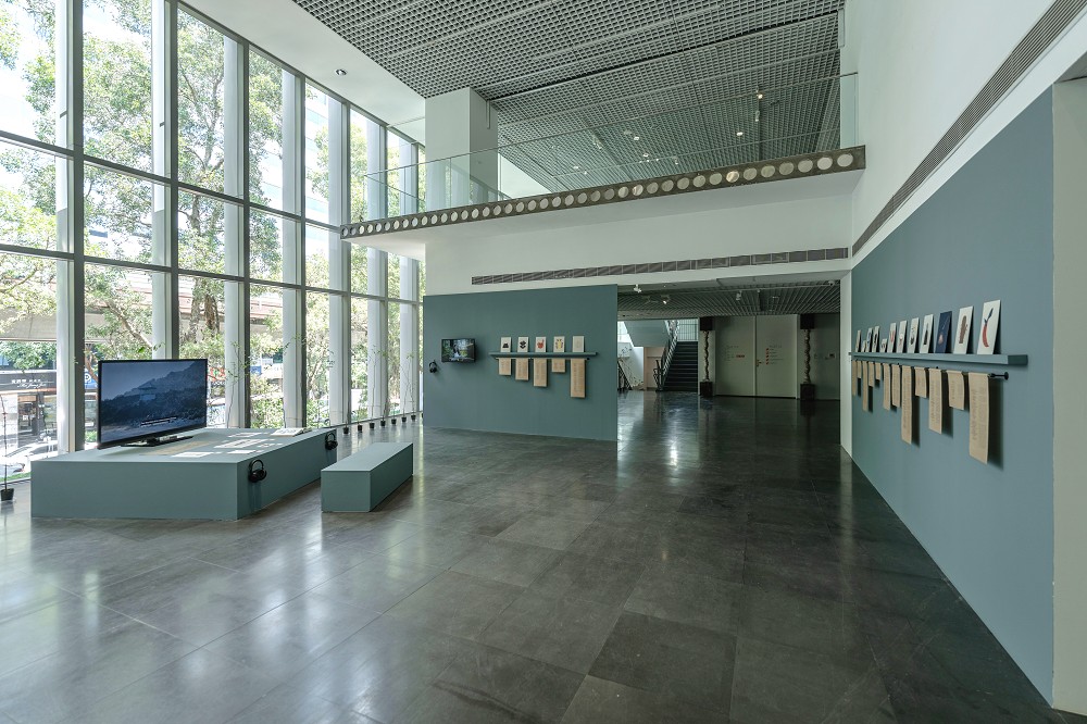 北師美術館《酷共生》展覽亮點！11組跨領域創作探討跨越物種的依存關係