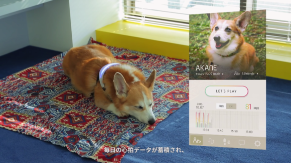 七彩變化的 INUPATHY 項圈，幫你成為動物溝通大師！