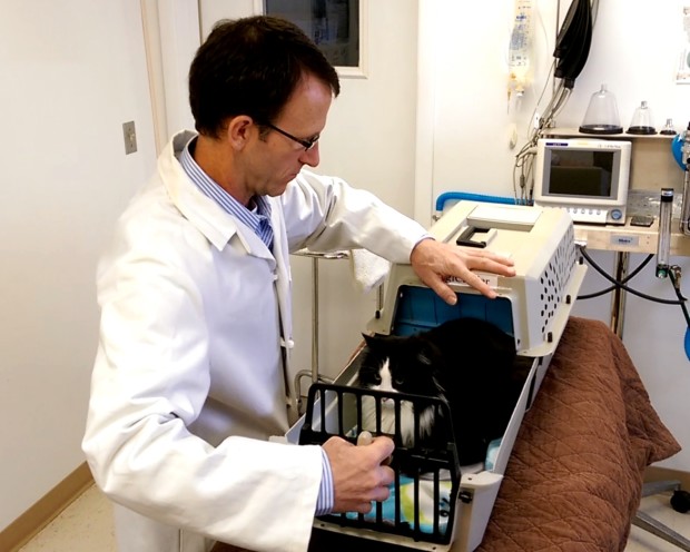 貓奴們醞釀了七年的逆襲，MagiCarrier 抽屜式外出籠