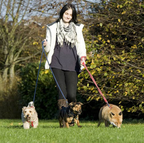 人狐情深：《狐狸與獵狗》真實版