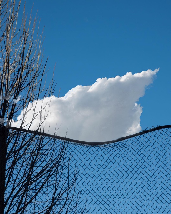 平凡日常變身奇幻夢境!韓裔攝影師KangHee Kim虛幻與超現實的攝影創作