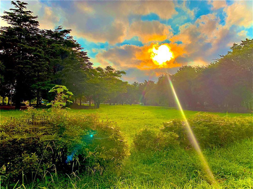 失敗 NG 照片影展？日本網友於 Twitter 串連起「#全日本失敗写真協会」活動，你手機裡一定也有一張