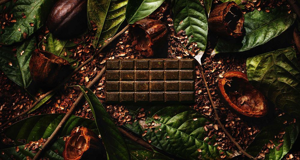 日本推「ECOLATE」永續巧克力！廢棄可可豆殼、葉子、樹枝成森林風味巧克力