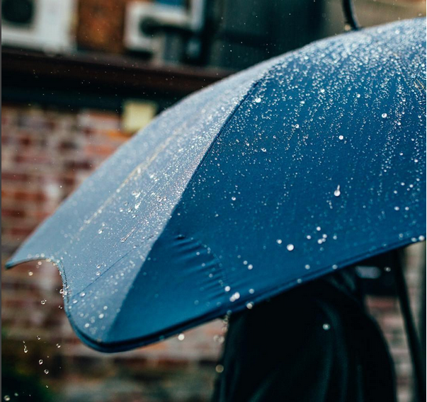 紫外線和雨珠通通走開！晴雨皆宜的 BLUNT 抗風美人傘