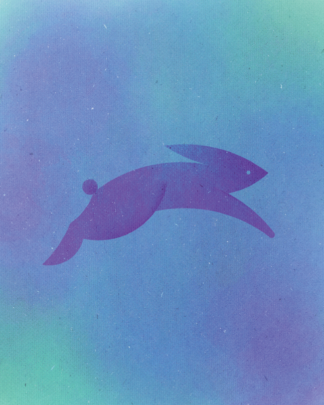 神奇的畫圖課!13 個正圓創造 13 隻動物