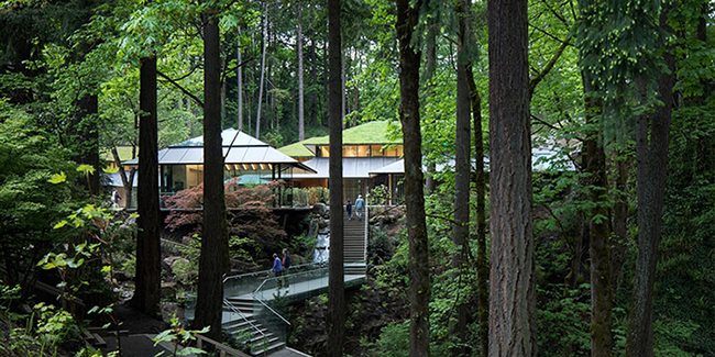 彷彿踏進山神的居所！隈研吾自然延伸波特蘭日本文化村