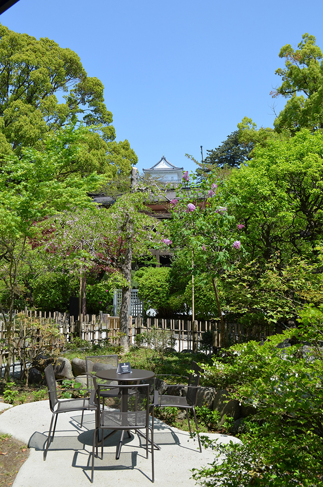 日本春季之旅，你選什麼路線！？打卡美照信手拈來的咖啡廳推薦
