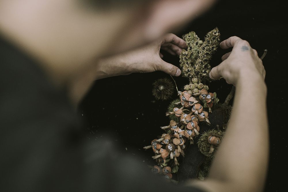 台中谷關「入關博物館」遊客中心新身！集結自然插畫、採集圖書館等4大亮點