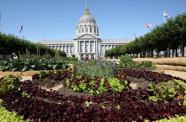 「他山之石，可以攻錯」，看美加市政花園改造