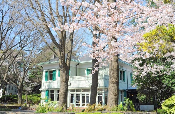 日本春季之旅，你選什麼路線！？打卡美照信手拈來的咖啡廳推薦