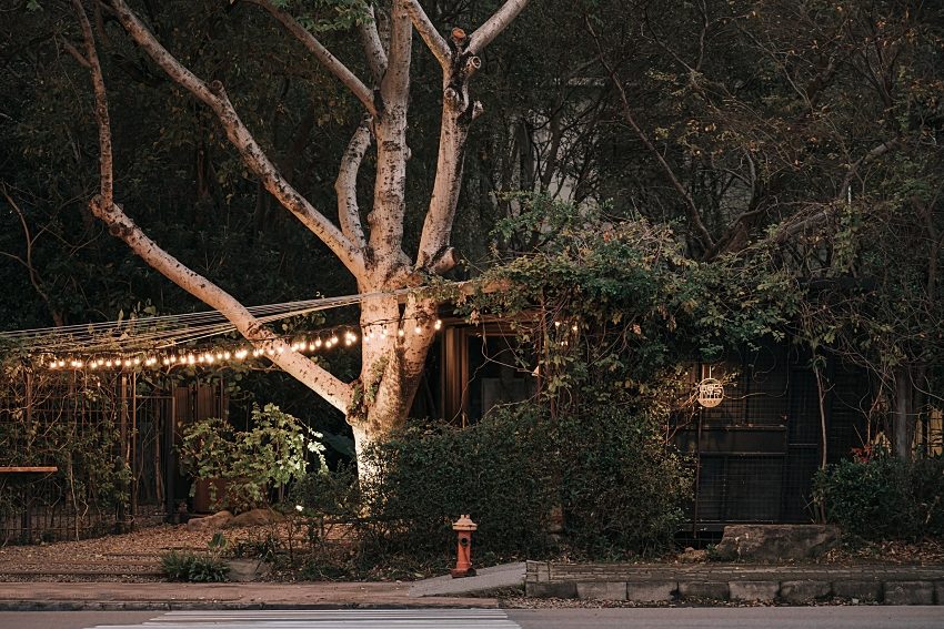 新竹秘境咖啡館「東厚食 Café」！開放式舊貨櫃吧台 X 綠意幽微小徑，置身喧囂城中的自然原野