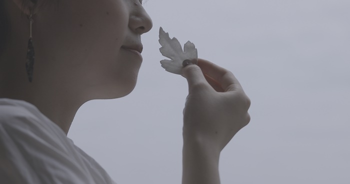 百年品牌質感新生！日本老舖薰壽堂的職人手作葉片型和紙薰香「HA KO」，散發秋冬木質調香氣