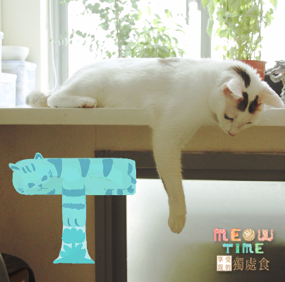 Meow～喵星人的「喵體字」，萌姿態就在細節裡