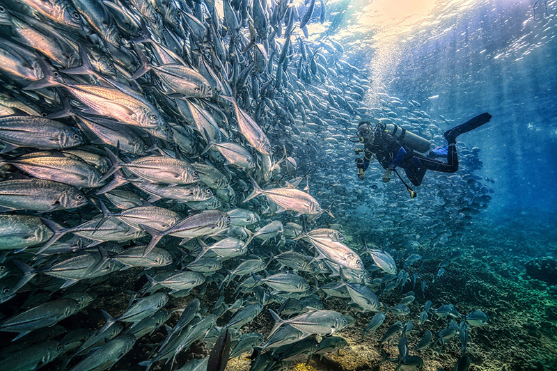 2020 SONY 索尼世界攝影大獎區域國家獎公布!原住民文化之美《傳承》贏得台灣首獎