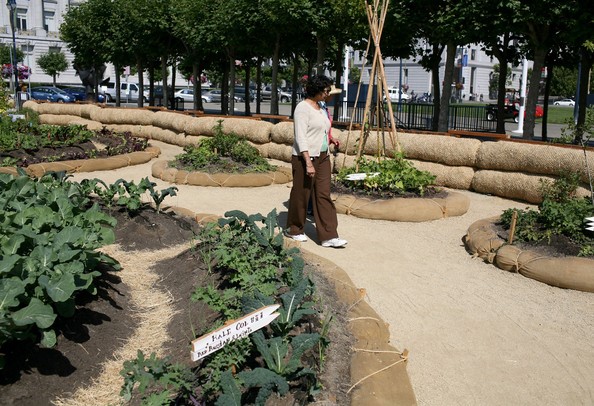 「他山之石，可以攻錯」，看美加市政花園改造