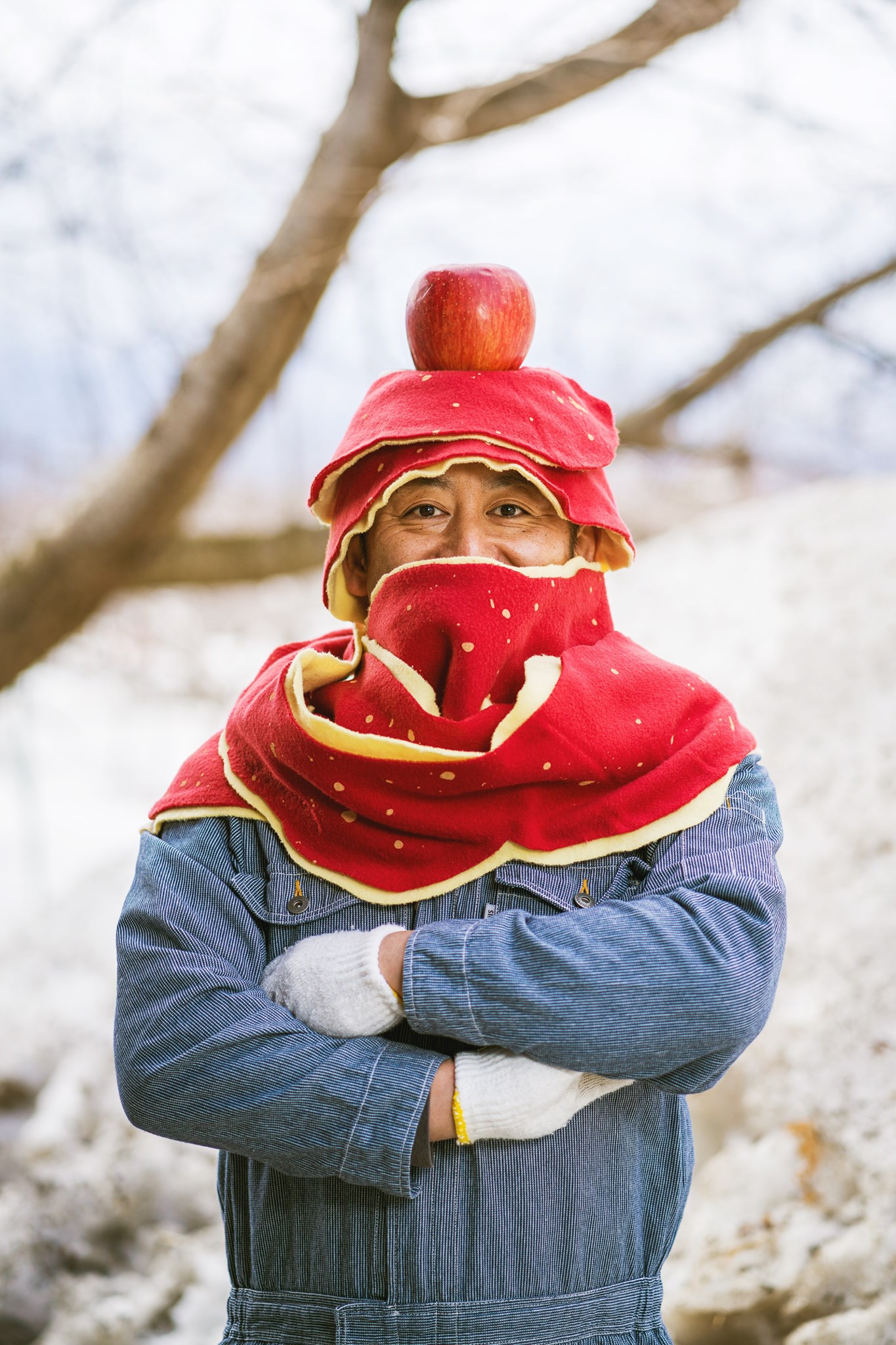 日本青森蘋果遊戲「ぷよりんご」！8種蘋果化身魔法氣泡俄羅斯方塊挑戰色彩敏銳度