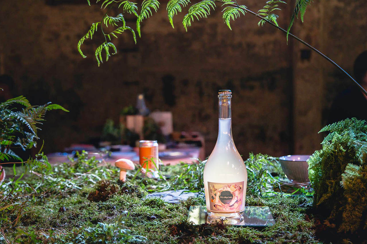 綠手指如何養成？綠意居家生活新手的指南、專家推薦 3 種輕鬆入門植物！