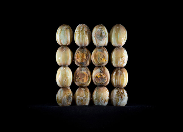 下次記得把你餐盤裡的東西吃光吧！（圖片可能引起不適，請自行斟酌）