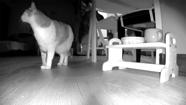 不只無痛安裝，設計到位的Beseye Pro 雲端攝影機簡直是無腦安裝！