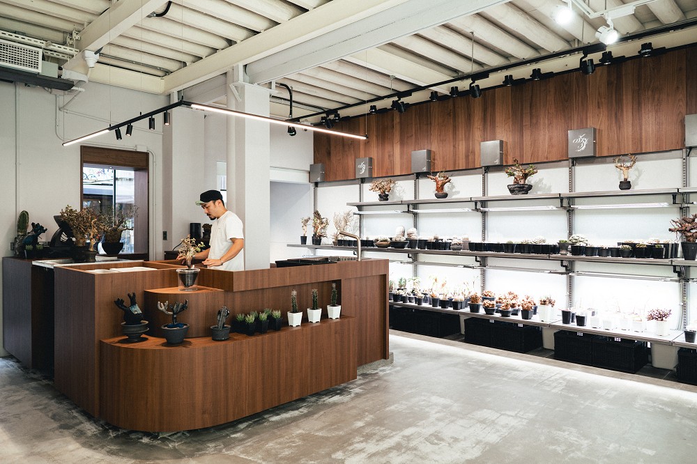 台南塊根植物店「0343 CONSERVATORY TAINAN」！彡苗、本事空間打造風格植物選店