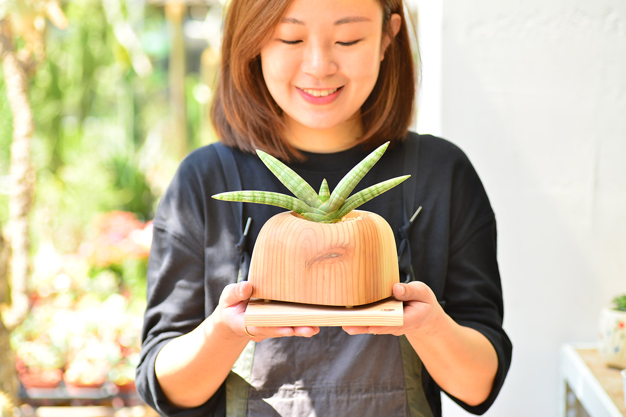 綠手指如何養成？綠意居家生活新手的指南、專家推薦 3 種輕鬆入門植物！