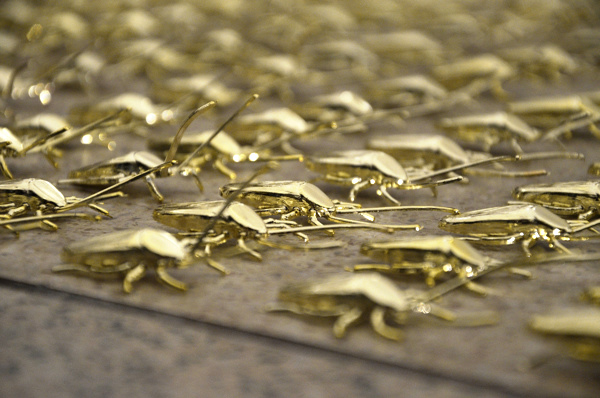 拿起拖鞋前先看仔細！鍍金的蟑螂雕塑（慎入：內有大量蟑螂）