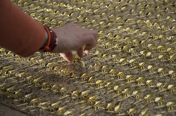 拿起拖鞋前先看仔細！鍍金的蟑螂雕塑（慎入：內有大量蟑螂）