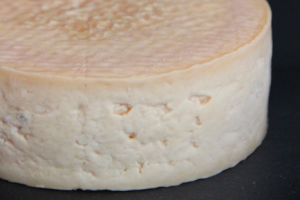 體味起司，嘗嘗你的味道