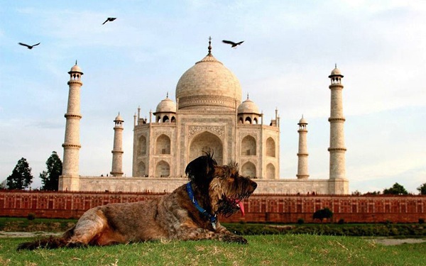 環遊世界不流浪，哪裡有愛就是家