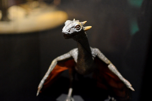 令人心神嚮往～冰與火之歌紐約特展