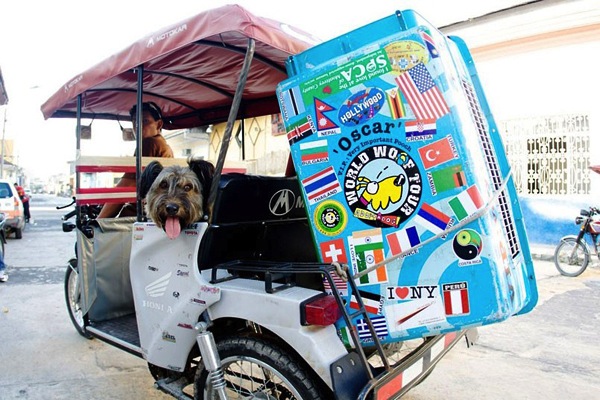 環遊世界不流浪，哪裡有愛就是家