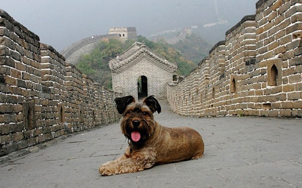 環遊世界不流浪，哪裡有愛就是家