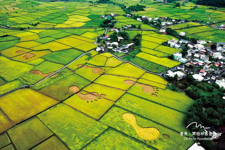 延續齊導未竟使命，留存珍貴影像記錄：千人集資共建「齊柏林空間」