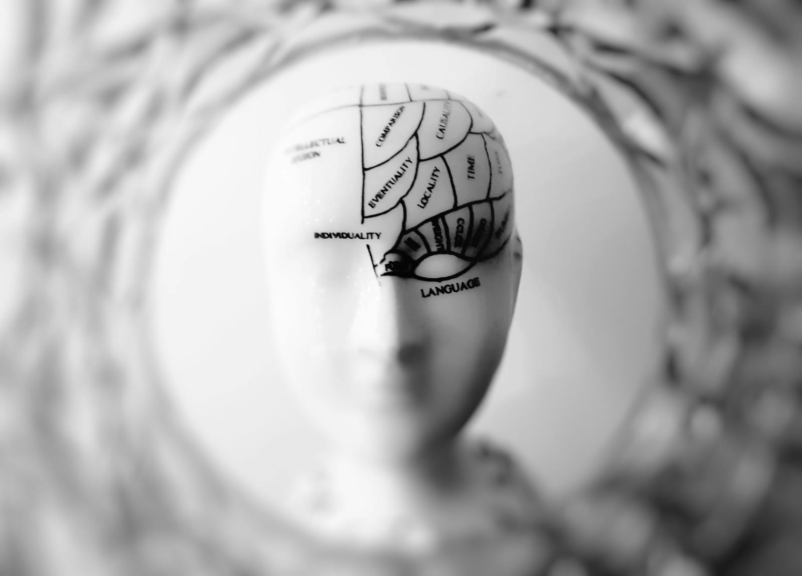 右腦人特質是迷思?打破左右腦分類的神話,從科學看大腦功能真相