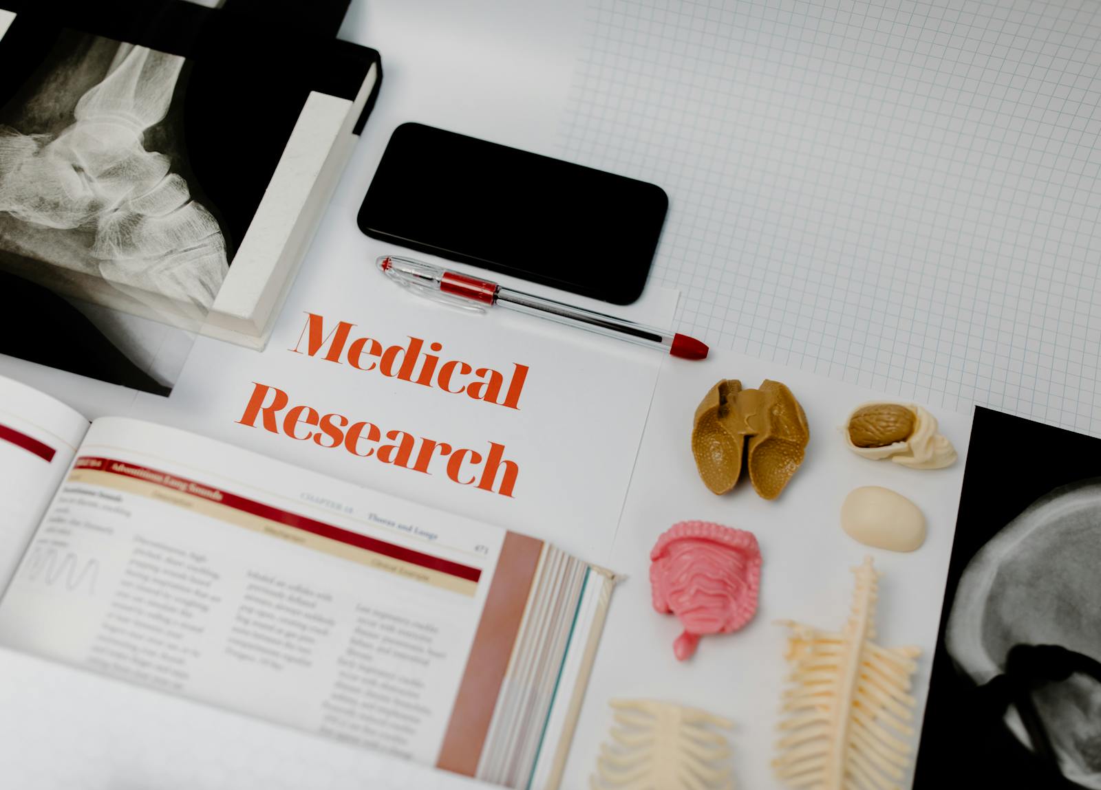 右腦人特質是迷思?打破左右腦分類的神話,從科學看大腦功能真相