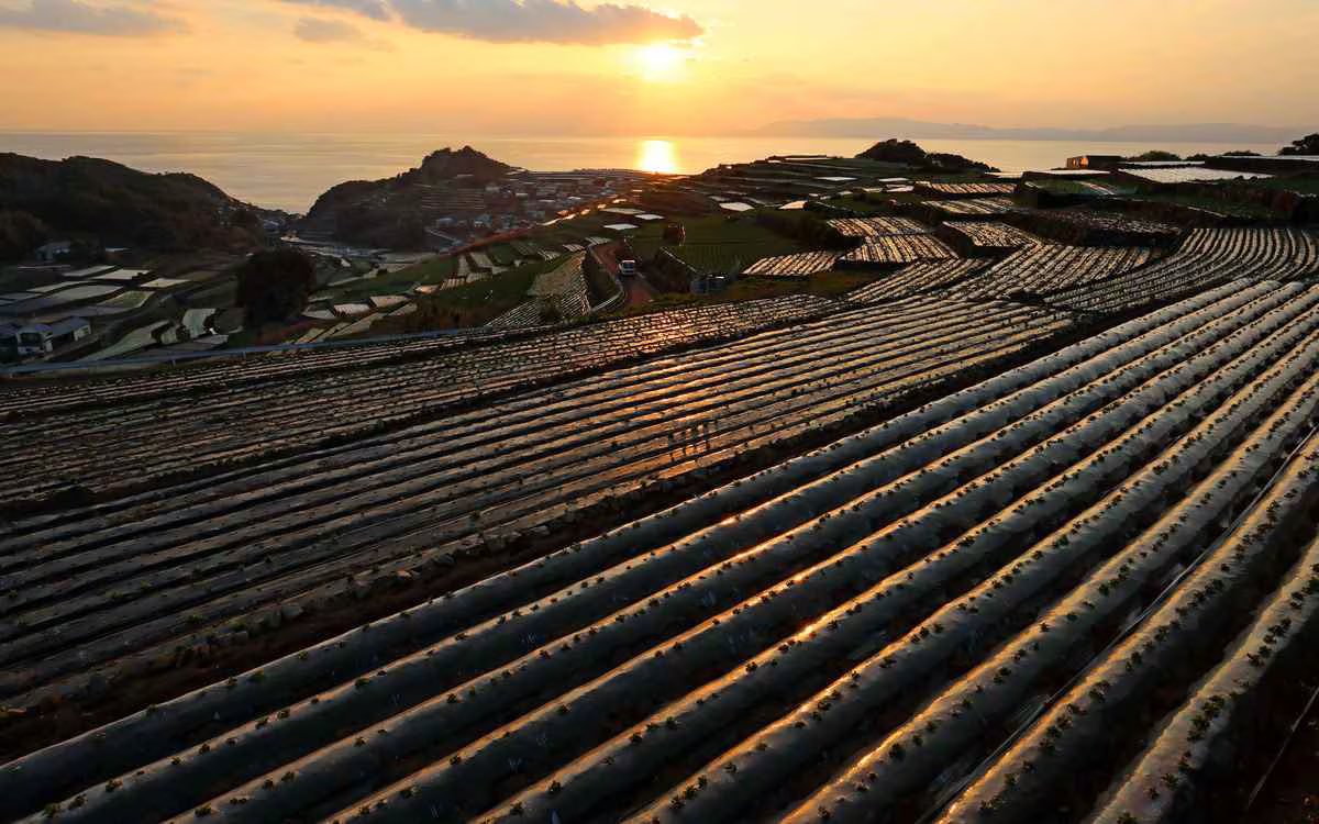 日本深度旅遊指南:6 大隱藏版日本景點,天空之城、馬丘比丘這裡都有!