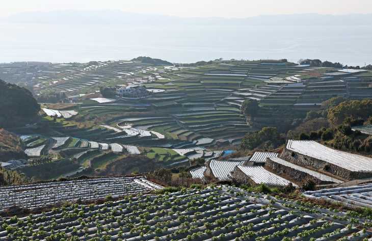 日本深度旅遊指南:6 大隱藏版日本景點,天空之城、馬丘比丘這裡都有!