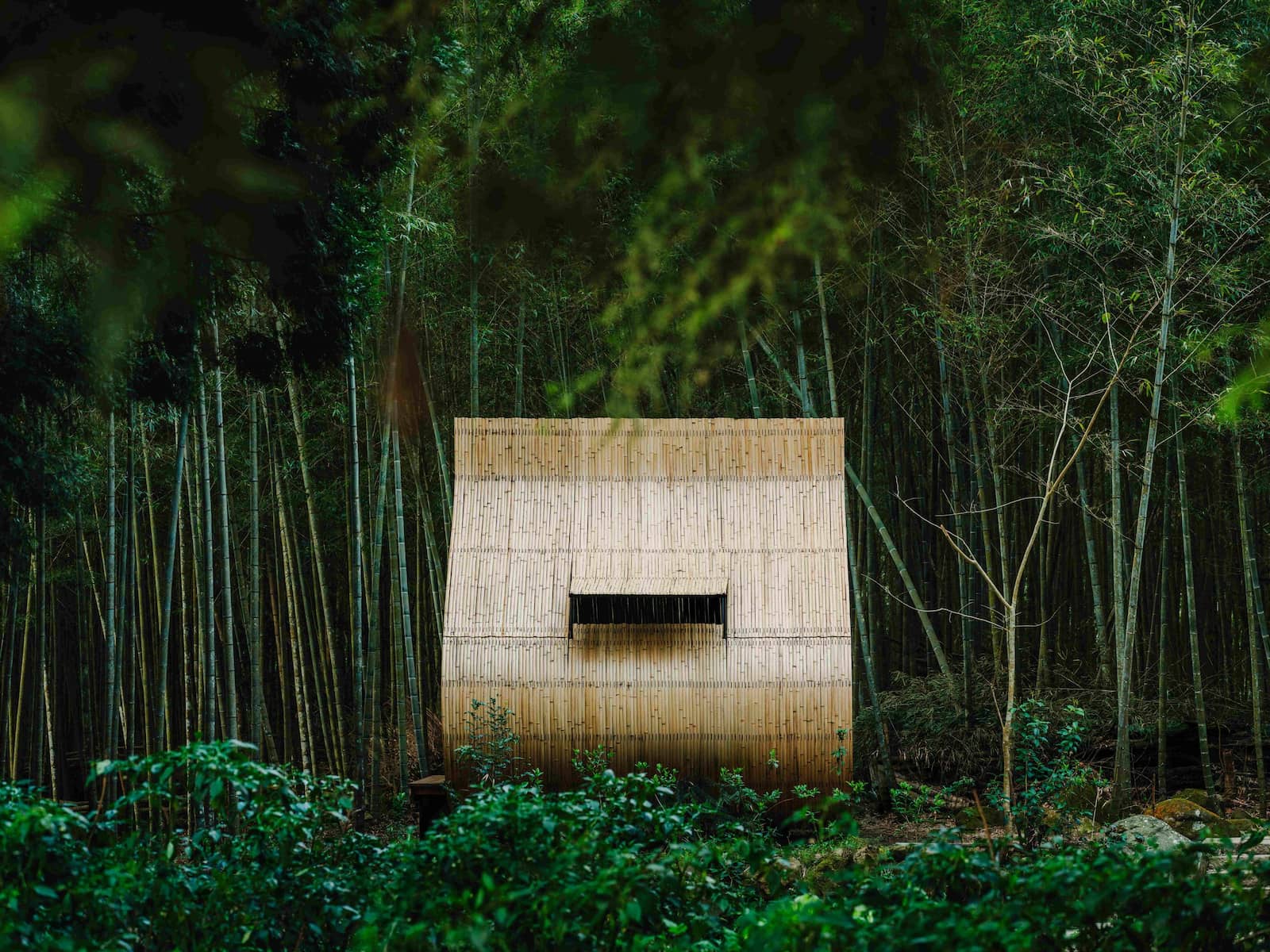從粽子到建築:台灣設計《小竹屋計劃:粽子》在南投山林邀你入座