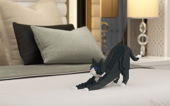 整個家都是我地盤！慵懶「樂高貓」貓生無憾啦