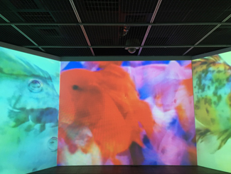 【觀展心得】惡女其實有顆溫柔的心 - 蜷川實花華麗至極，絢爛奪目的影像世界